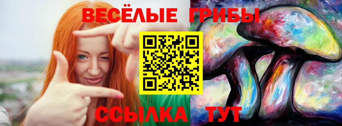 сколько стоит  Псилоцибиновые грибы прущие грибы  Вход с VPN  Чехов  Галлюциногенные грибы мицелий 